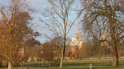 Trees in Oxford - credit: Flickr/ Tejvan Pettinger (CC by 2.0)